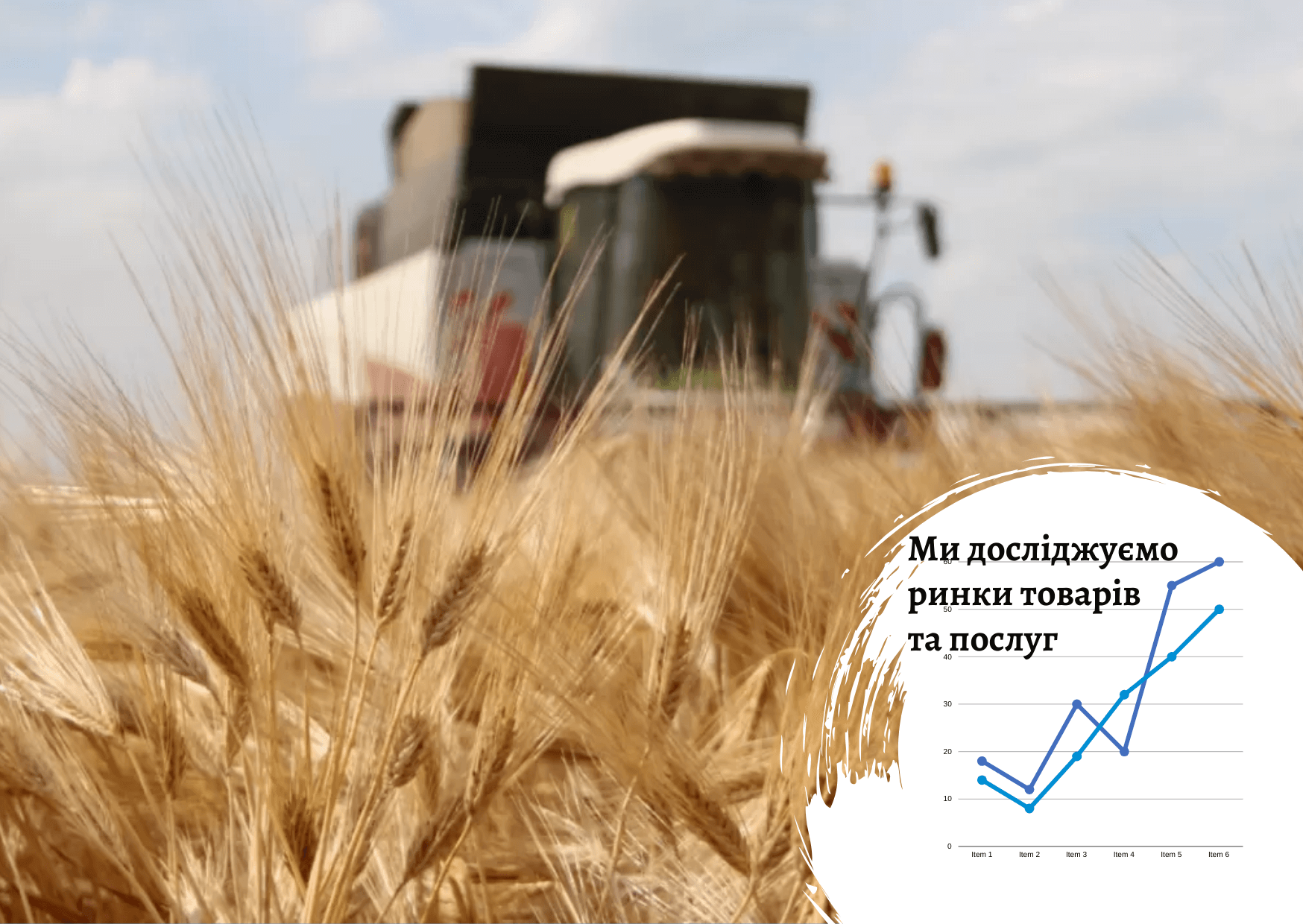    Аграрный рынок в Украине: влияние войны 